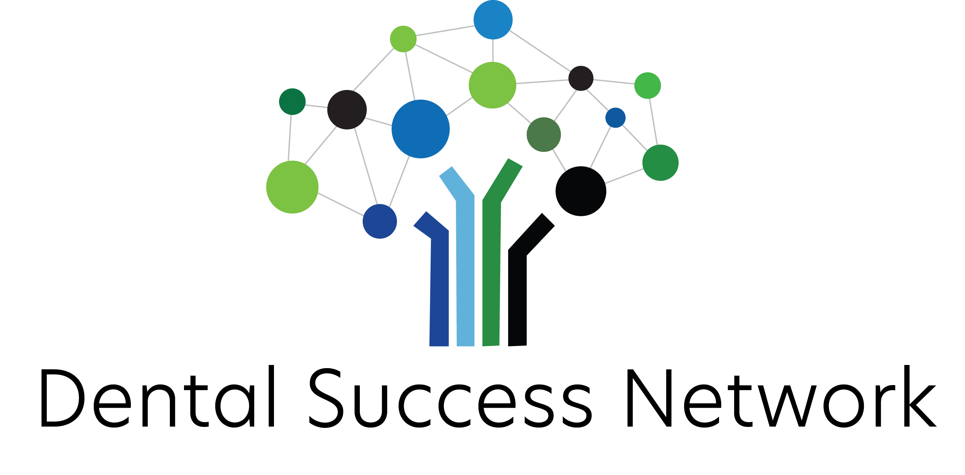 DSN KRS Logo 2023 (1)